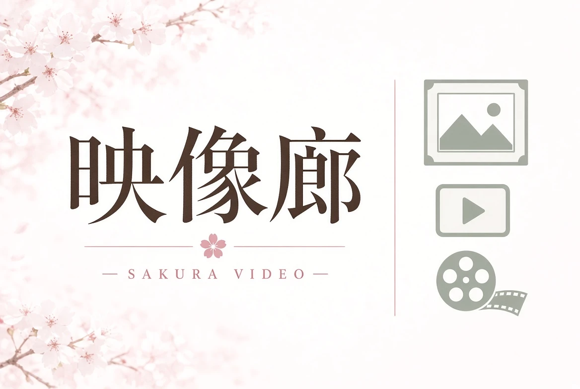 映像廊栏目图片